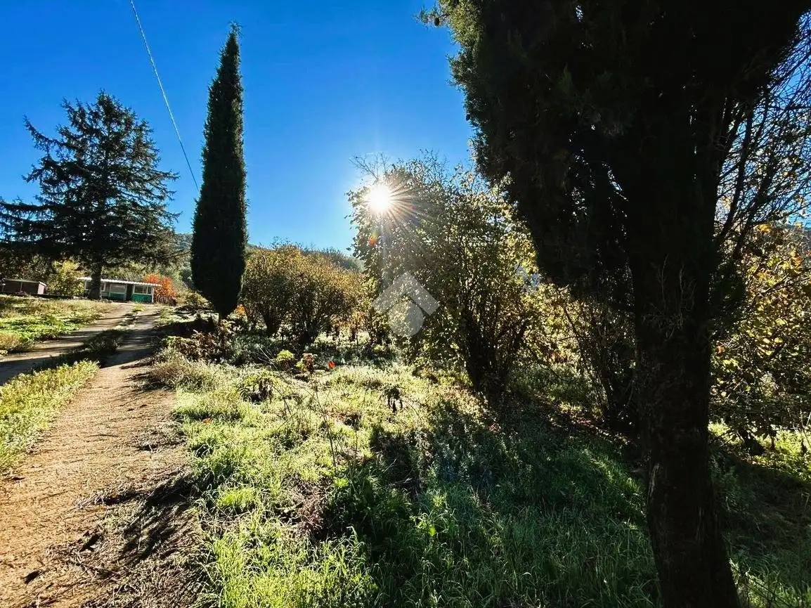 Rustico - Casale in vendita a Montelanico