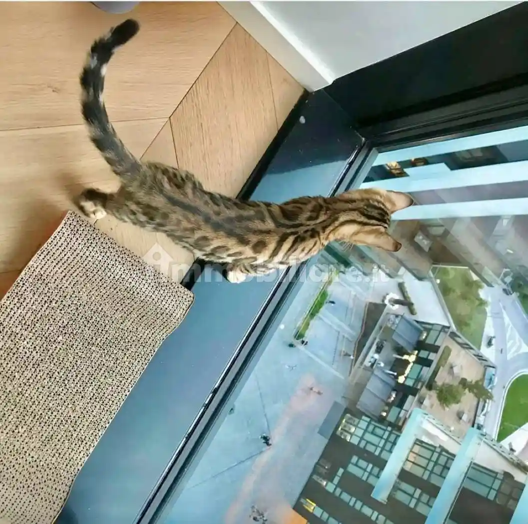 Trilocale viale della Liberazione  15, Porta Nuova, Milano - foto 5