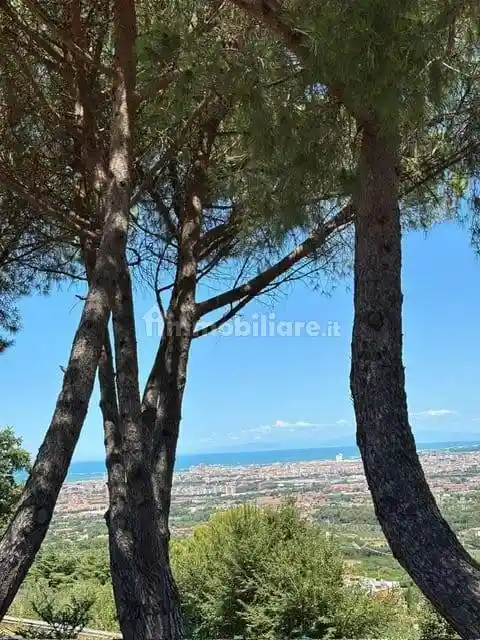 Bilocale buono stato, piano terra, Montenero Basso - Montenero Alto, Livorno - foto 3