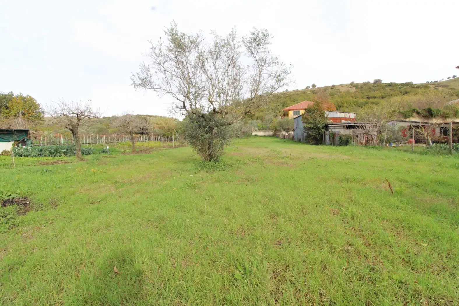 Terratetto unifamiliare 293 m², Castel Morrone - foto 2