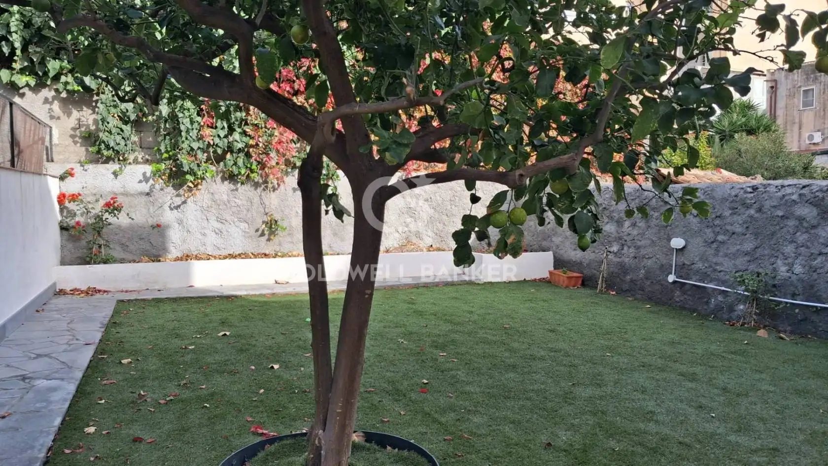 Appartamento in affitto a Catania