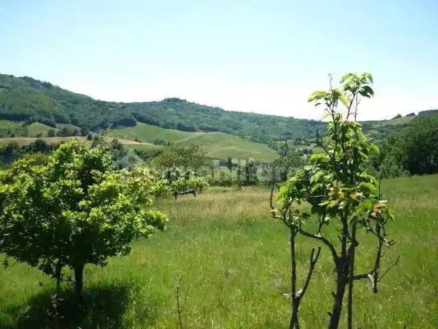 Rustico Strada Comunale della Ghigliaia, Casasco - foto 3
