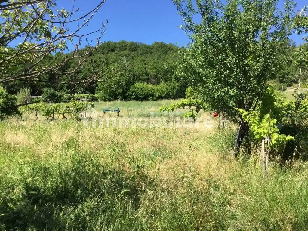 Rustico Strada Comunale della Ghigliaia, Casasco - foto 4