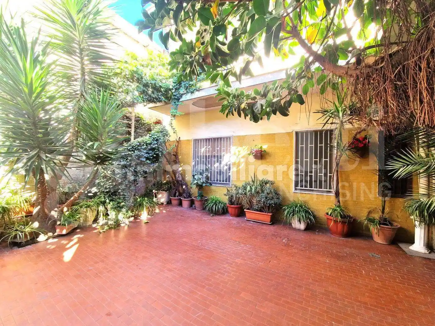 Palazzo - Edificio - foto 2