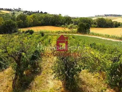 Villa in vendita a Coriano