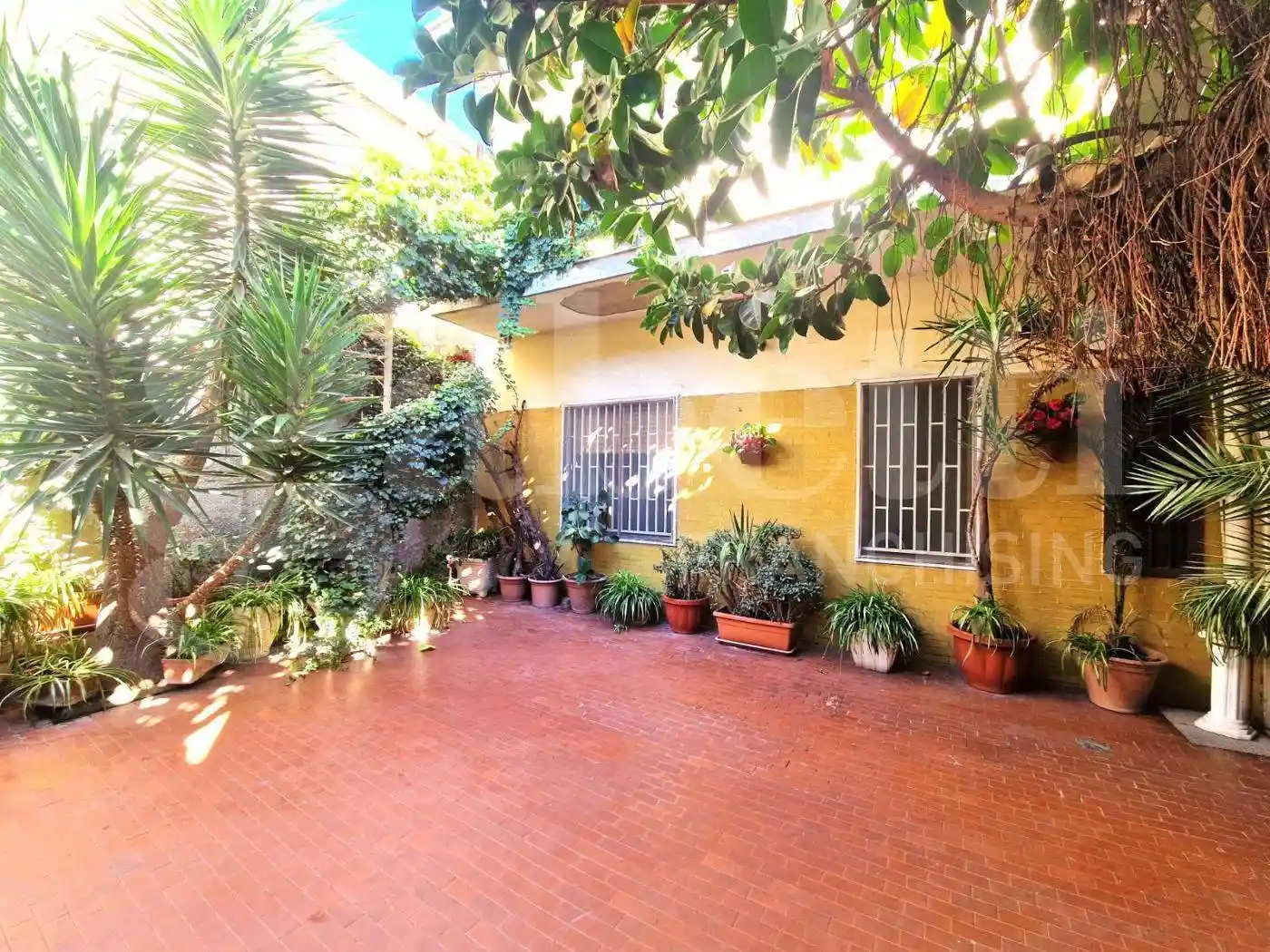 Palazzo - Edificio - foto 2