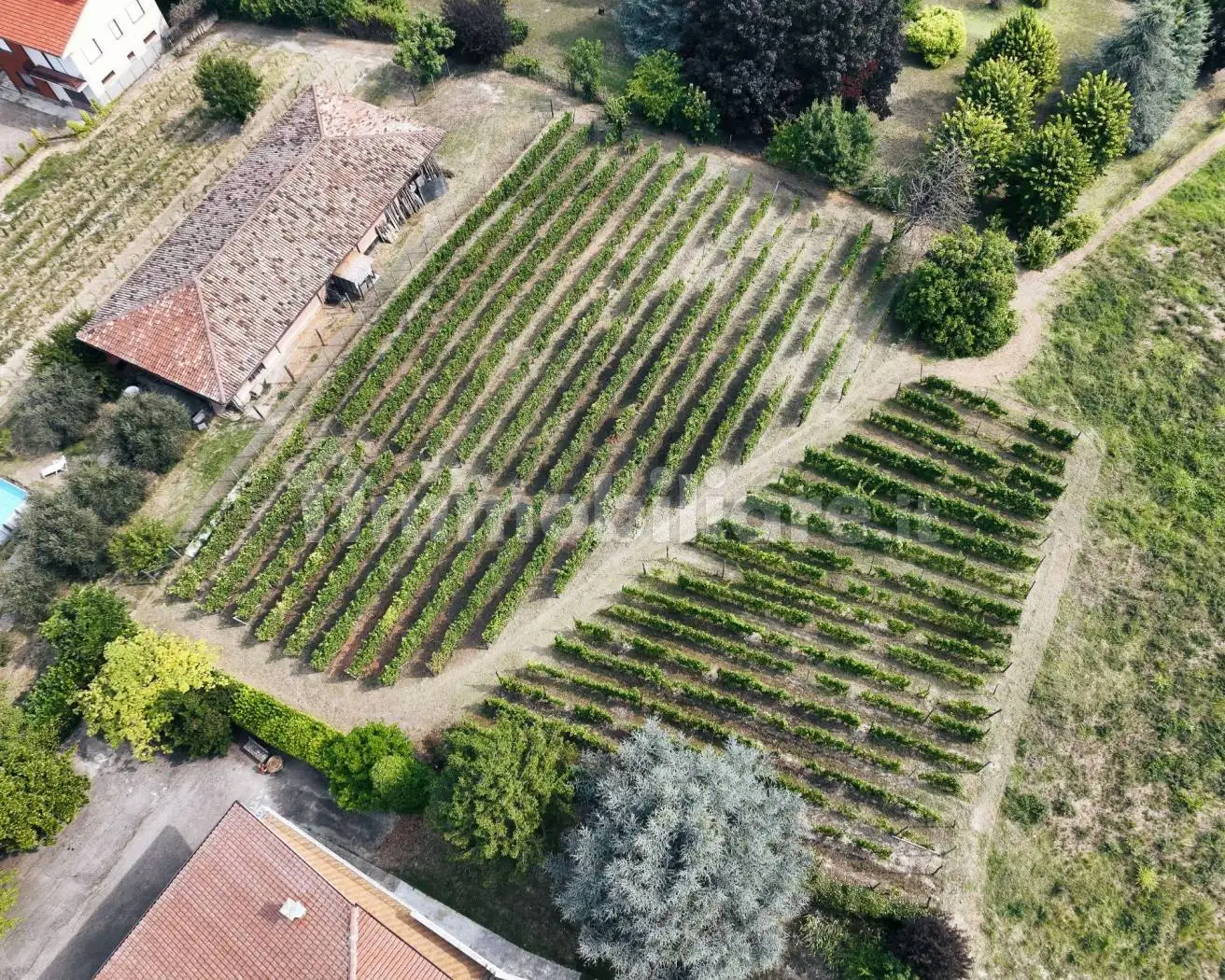 Villa unifamiliare via San Siro, Calosso - foto 5