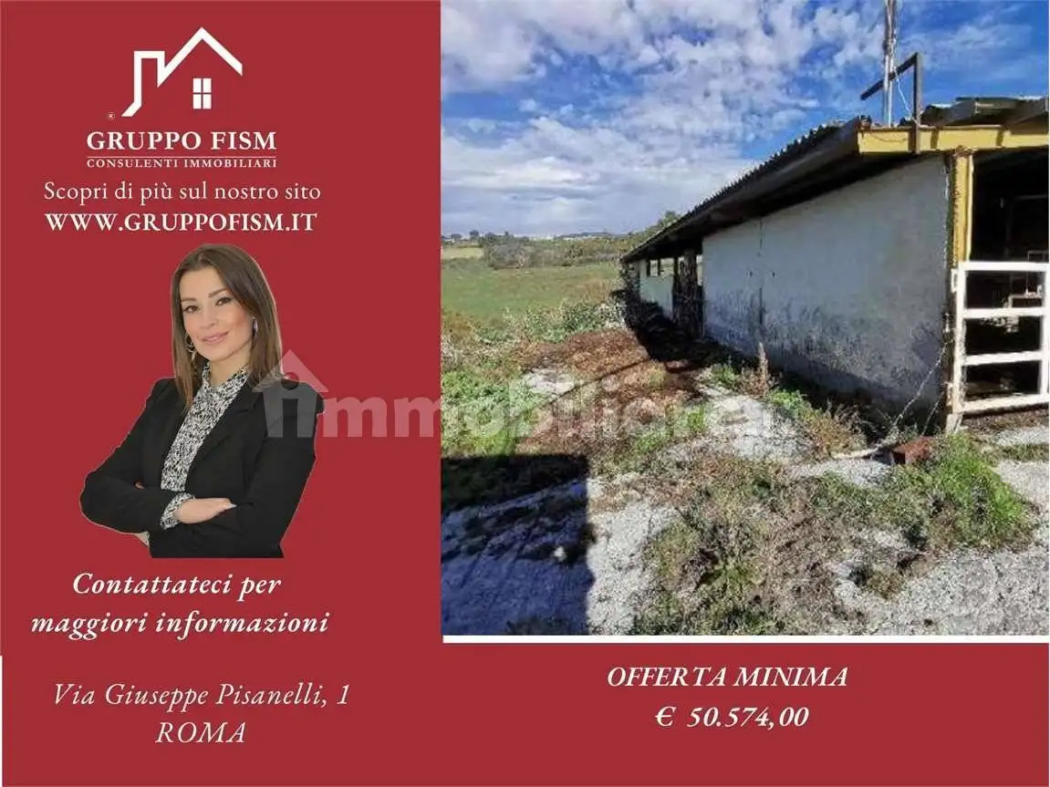 Rustico - Casale in asta a Montebuono