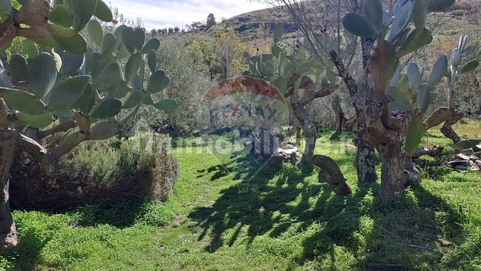 Villa unifamiliare via trieste s/n, Centro, Castellana Sicula - foto 3