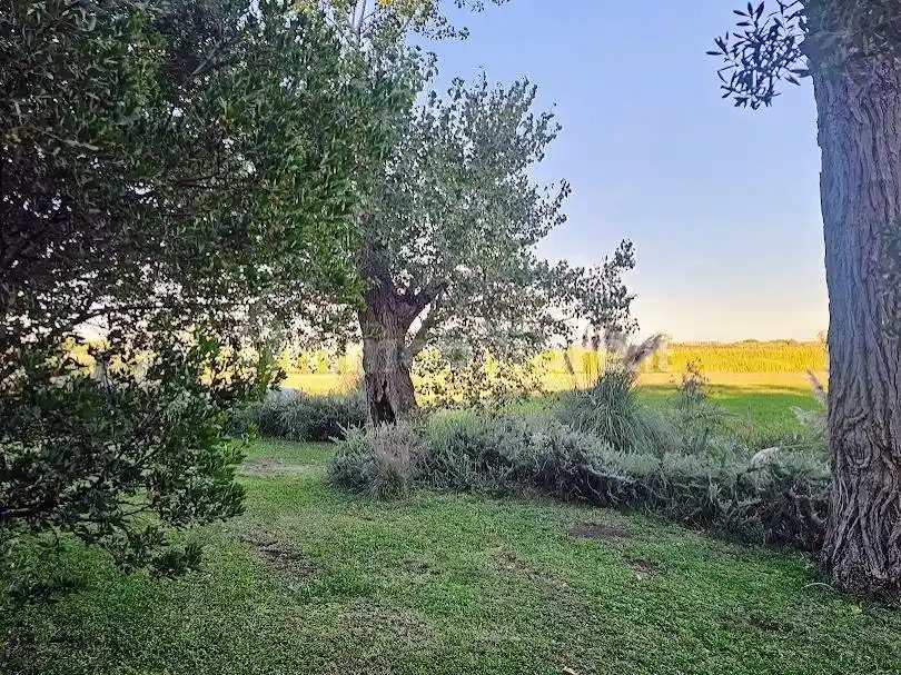 Casale Strada Pescia Fiorentina Chiarone 9, Capalbio - foto 4