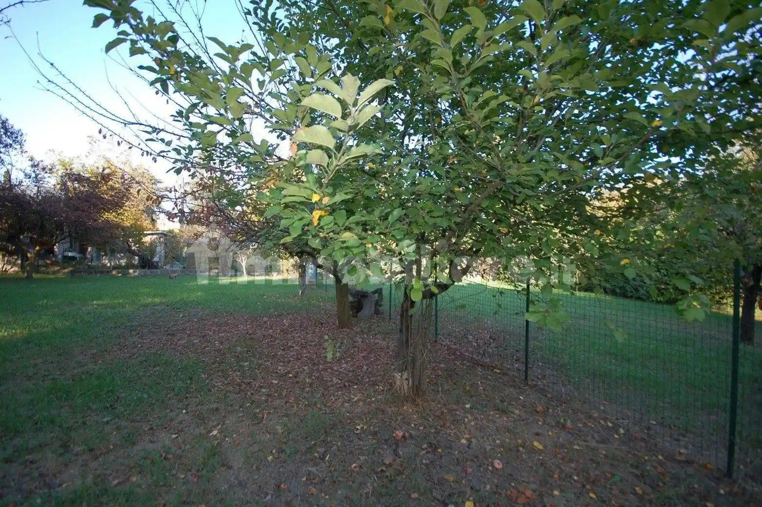 Villa bifamiliare Strada Montanara, Campus - Gaione, Parma - foto 5