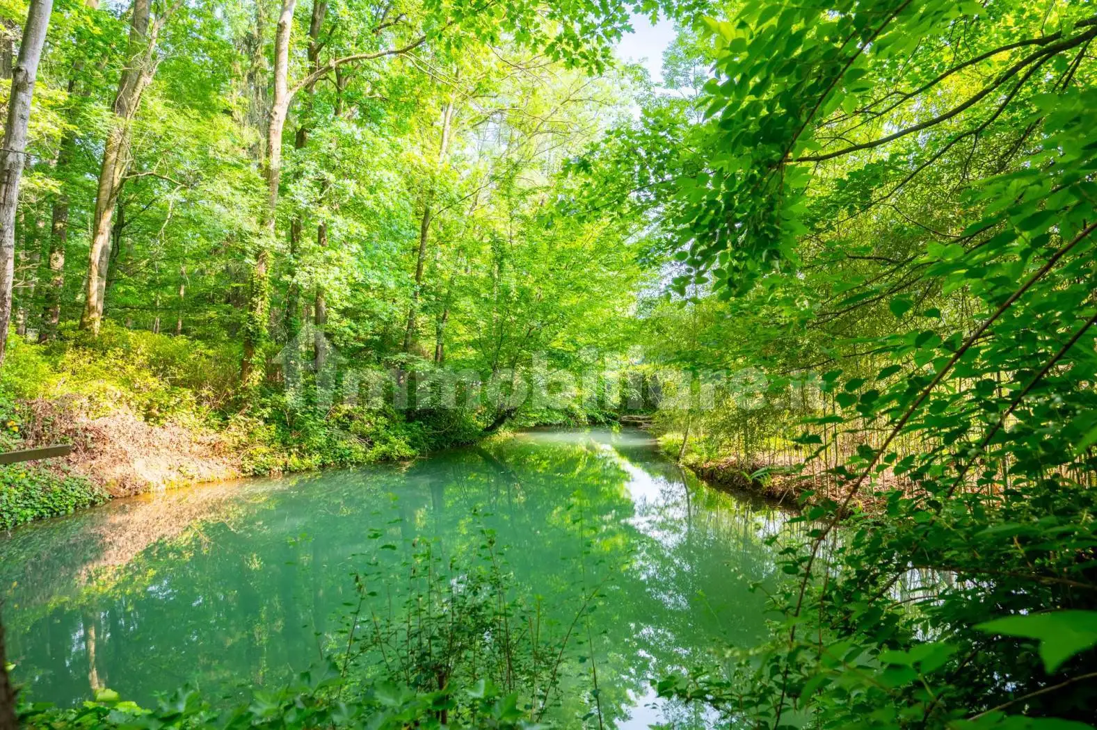 Villa unifamiliare via Caldano, Gamba, Grangiotti, Caselle Torinese - foto 5