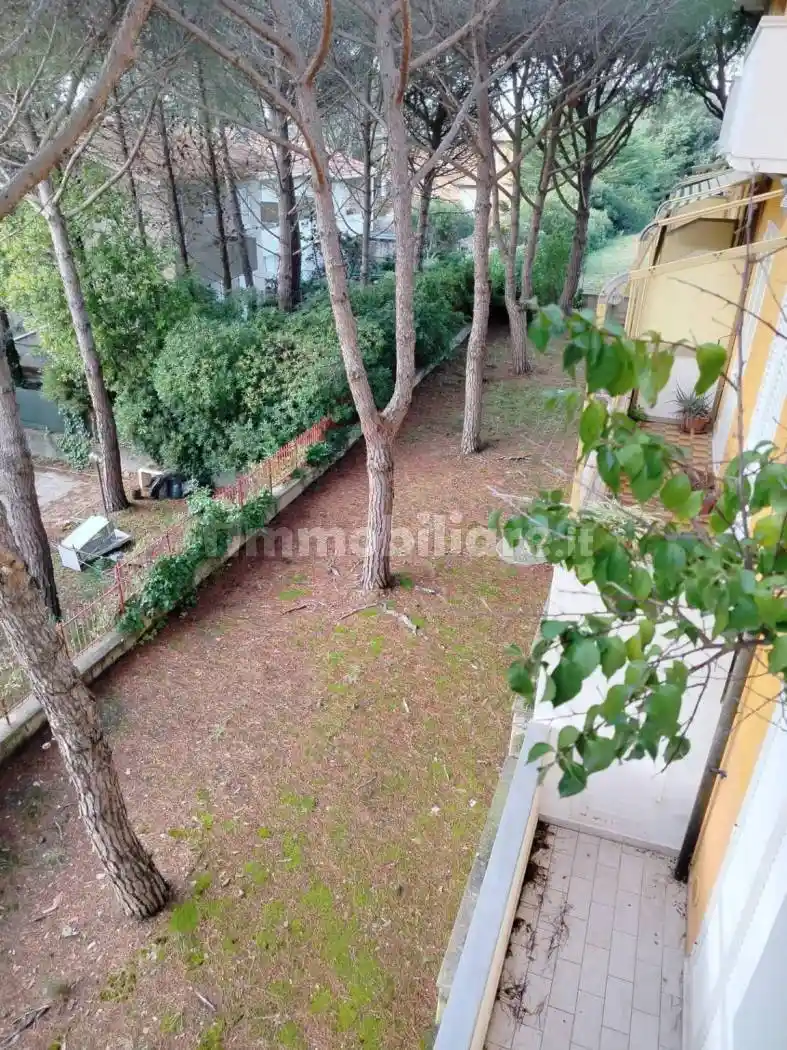 Trilocale buono stato, primo piano, Castiglioncello, Rosignano Marittimo - foto 2