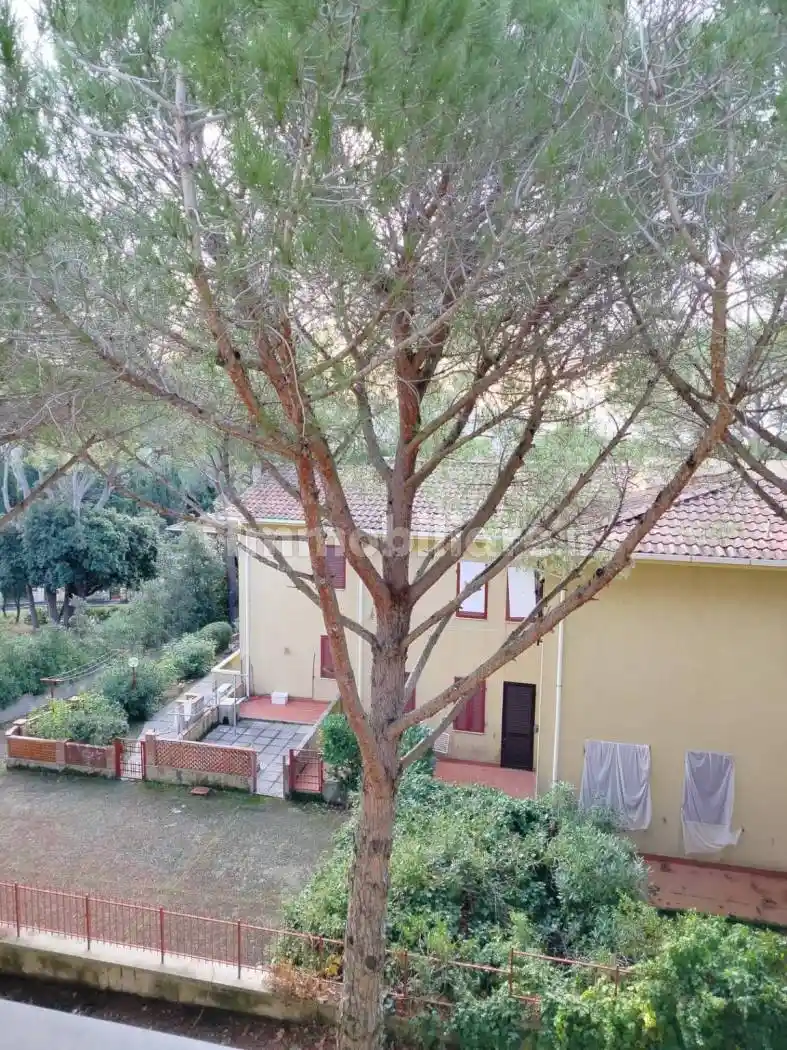 Trilocale buono stato, primo piano, Castiglioncello, Rosignano Marittimo - foto 3