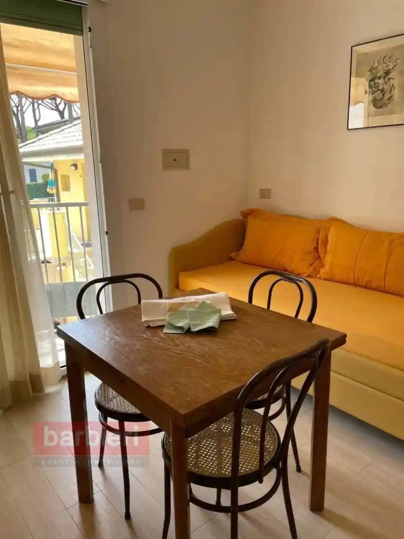 Bilocale viale dei Mille 74, Centro, Cervia - foto 3