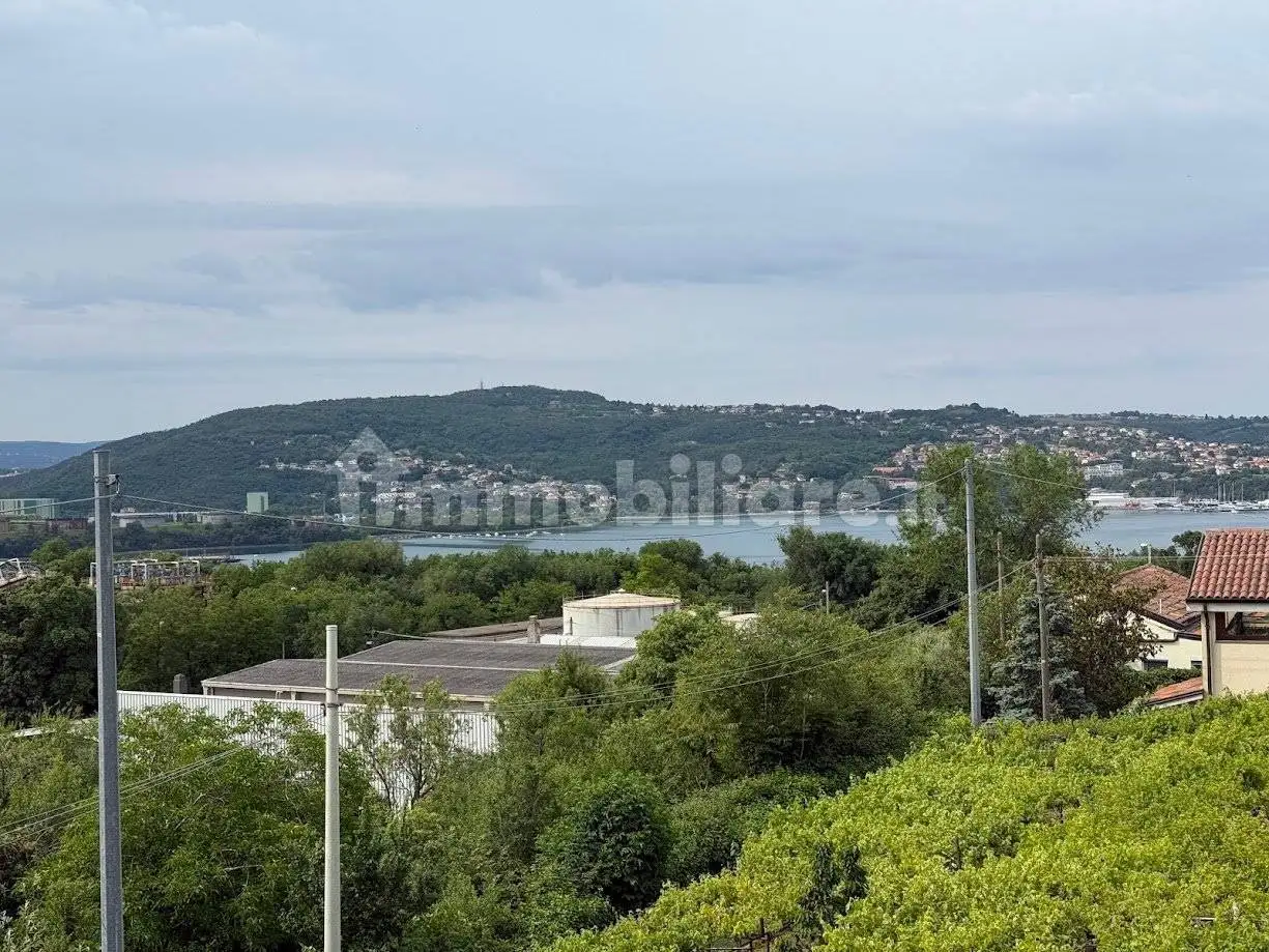 Appartamento in affitto a Trieste