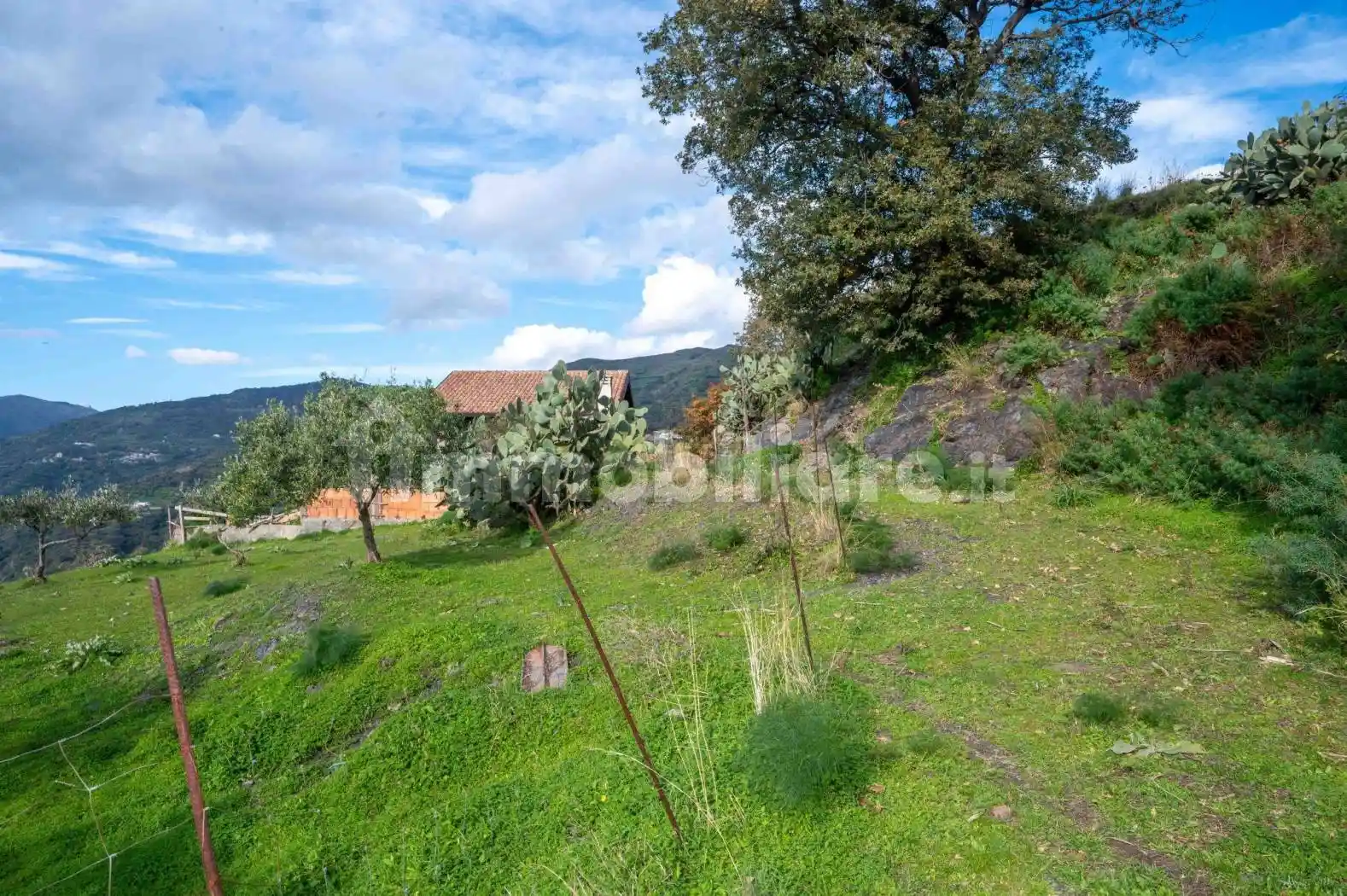 Casale Contrada Sidero, Casalvecchio Siculo - foto 4