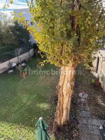 Terratetto unifamiliare via Giovan Battista Niccolini, Santa Maria, Pisa - foto 5