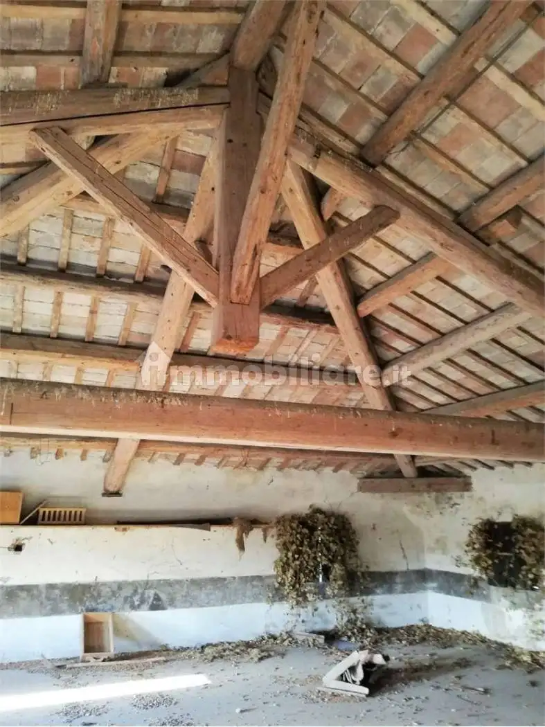 Appartamento da ristrutturare, piano terra, Centro, Badia Polesine - foto 4