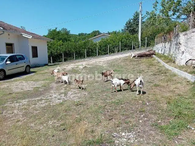 Villa in vendita a Rivodutri