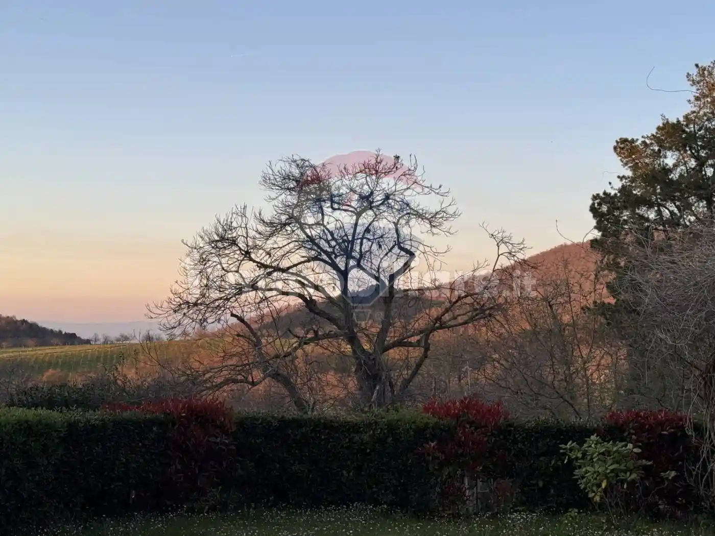 Villa unifamiliare, ottimo stato, 302 m², Bagnaia - La Quercia, Viterbo - foto 2