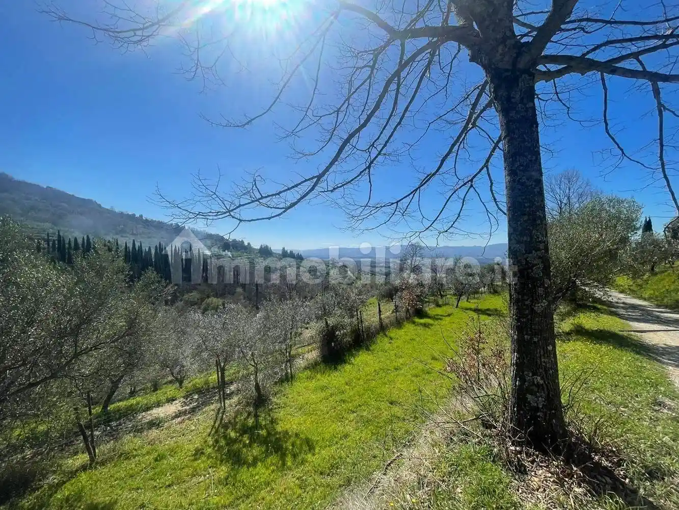 Rustico - Casale in vendita a Castelfranco Piandisco