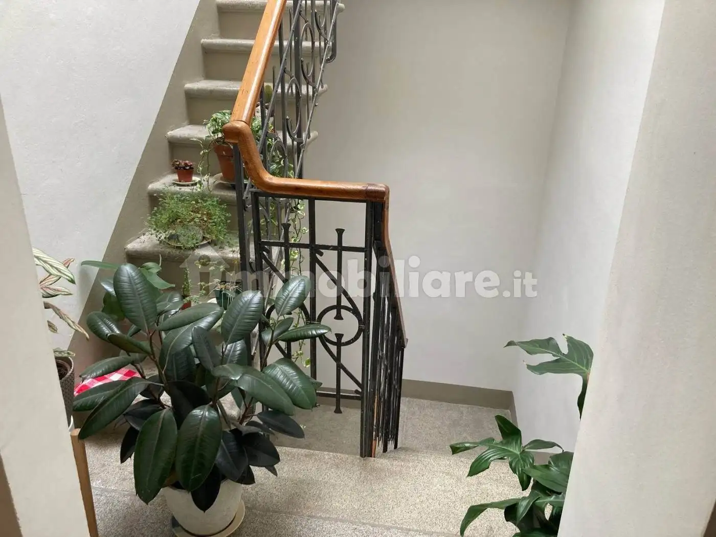 Appartamento in affitto a Firenze