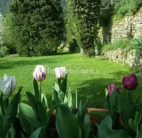 Rustico, ottimo stato, 320 m², Centro, Buti - foto 3