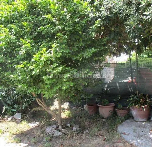 Villetta a schiera in vendita a Bientina