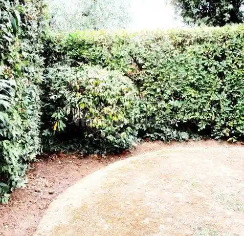 Villa unifamiliare, ottimo stato, 200 m², Il Romito, Pontedera - foto 4