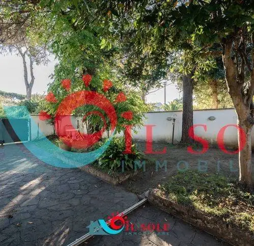 Appartamento in affitto a Pisa