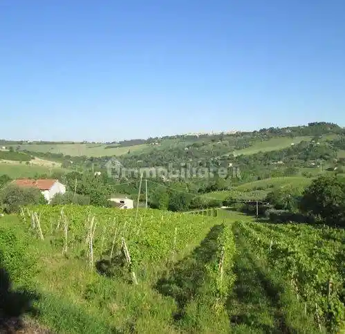 Rustico via Forcone 1, Cupramontana - foto 3