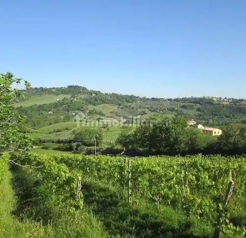 Rustico via Forcone 1, Cupramontana - foto 4