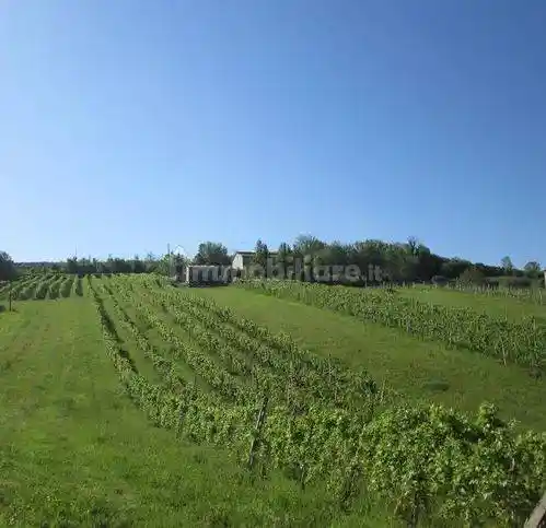 Rustico via Forcone 1, Cupramontana - foto 5