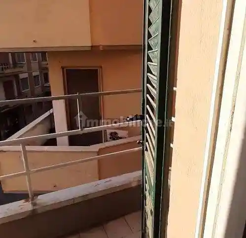 Quadrilocale viale Francesco Bonaini, San Martino, Pisa - foto 3