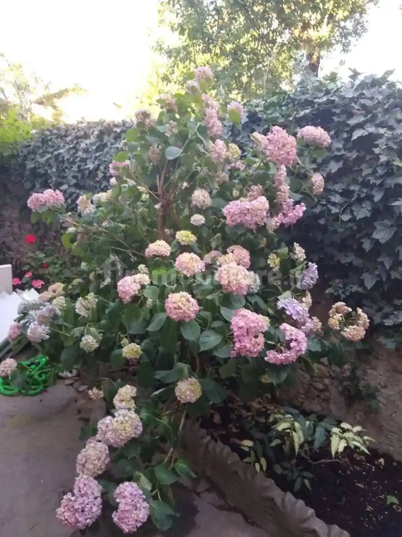 Bilocale via Vittorio Emanuele II 50, Centro, Giaveno - foto 2