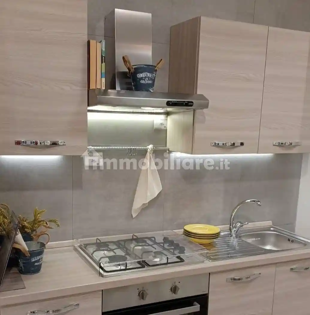 Quadrilocale largo Duca D'Aosta Amedeo,, Porta a Lucca, Pisa - foto 2