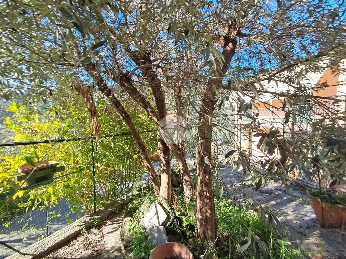 Appartamento in affitto a Uscio