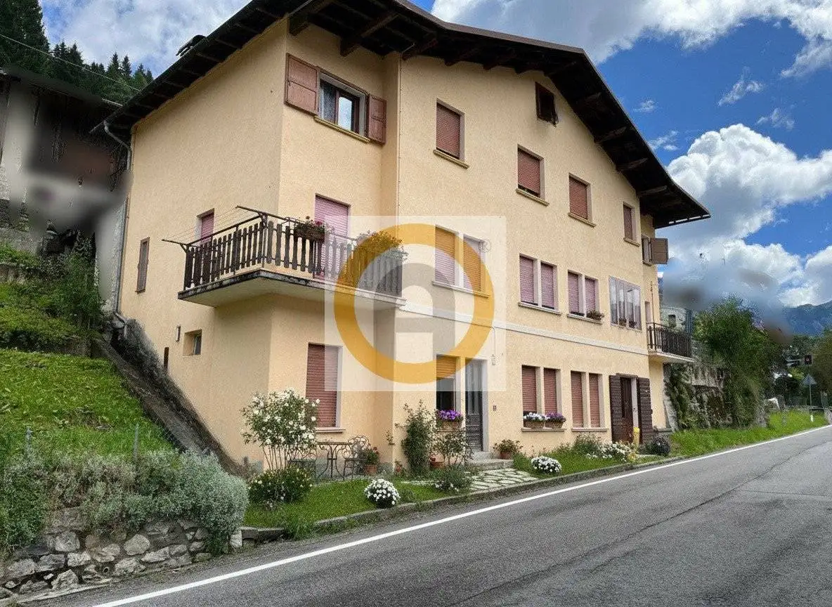 Appartamento in vendita a Gosaldo