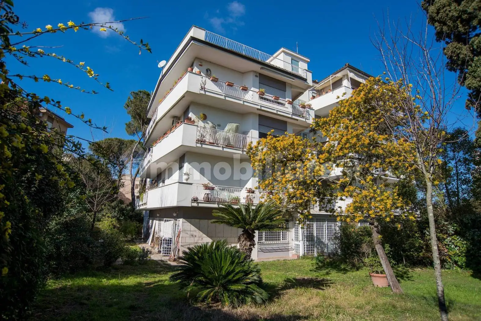 Appartamento in affitto a Roma