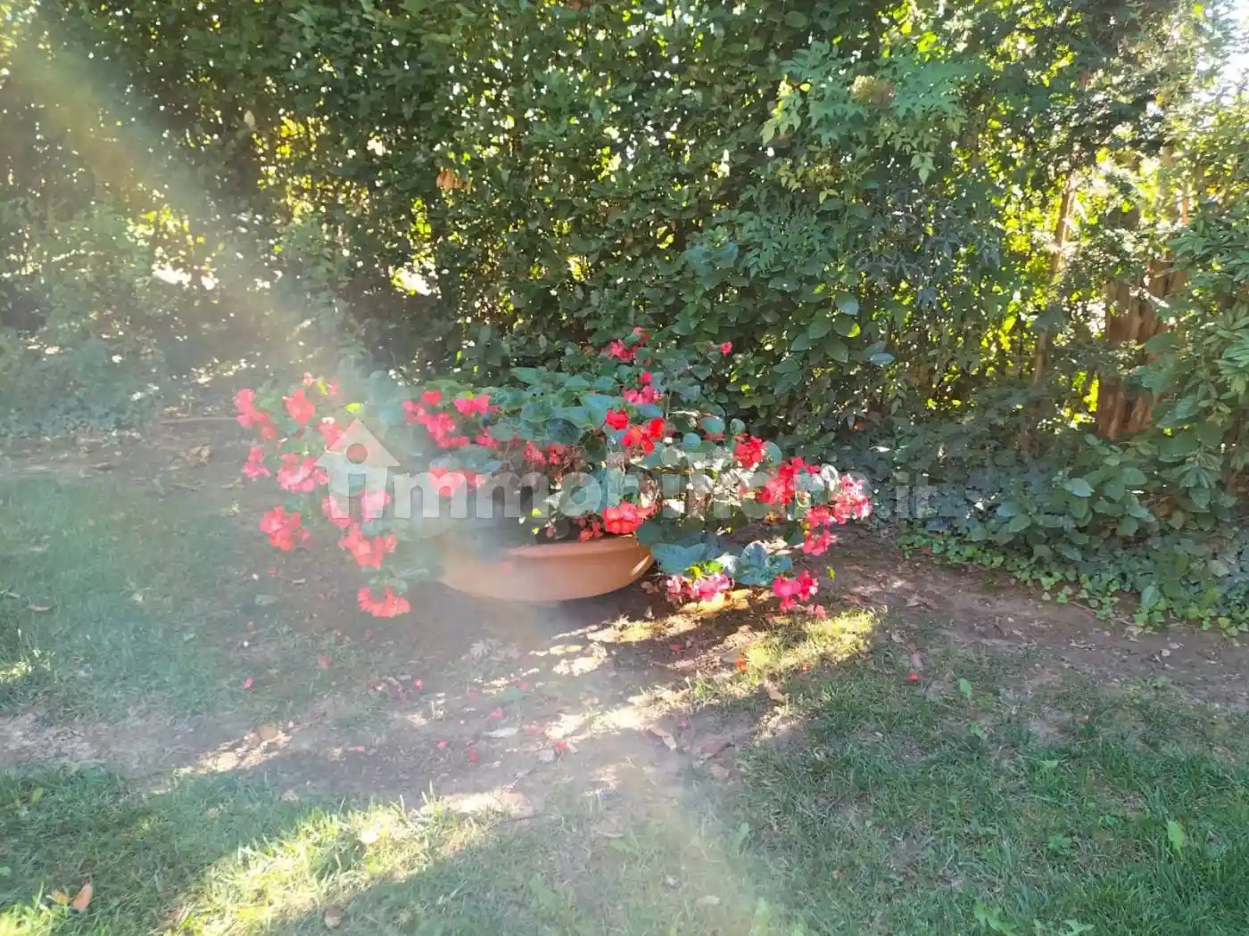 Villa unifamiliare, buono stato, 160 m², Ospedaletto, Forlì - foto 3