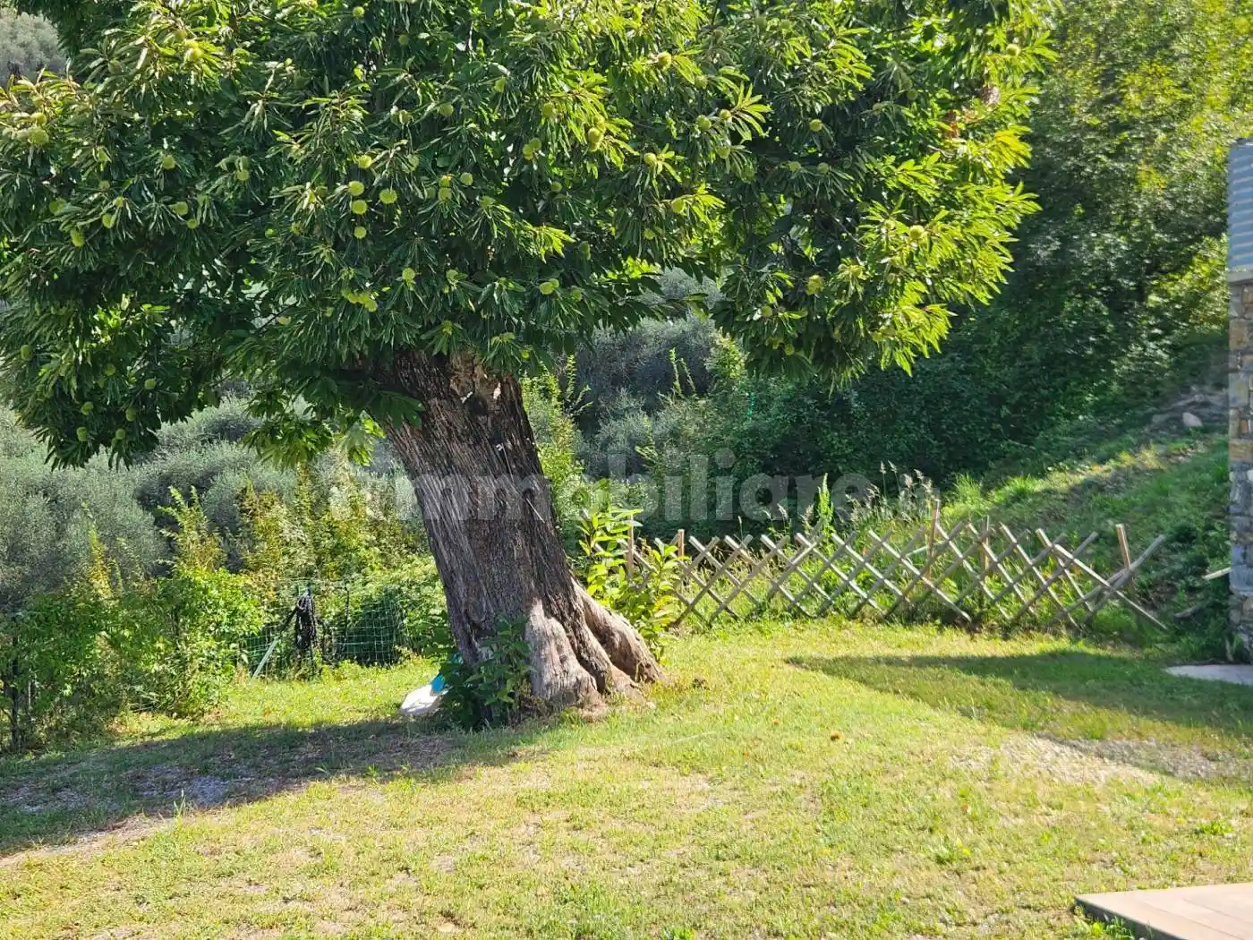 Villa unifamiliare Località Comeglio 77, Moneglia - foto 3