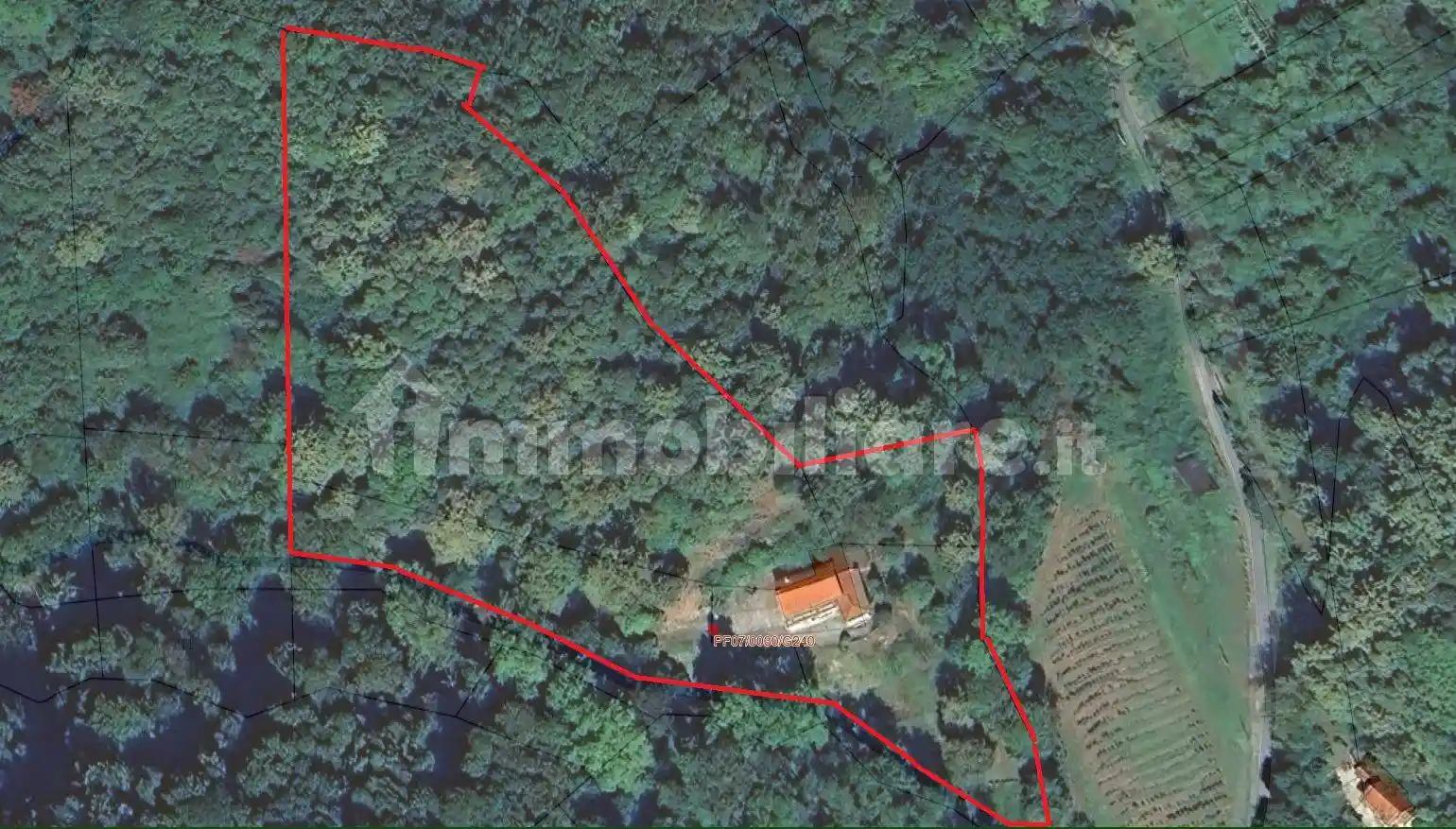 Rustico - Casale - foto 3