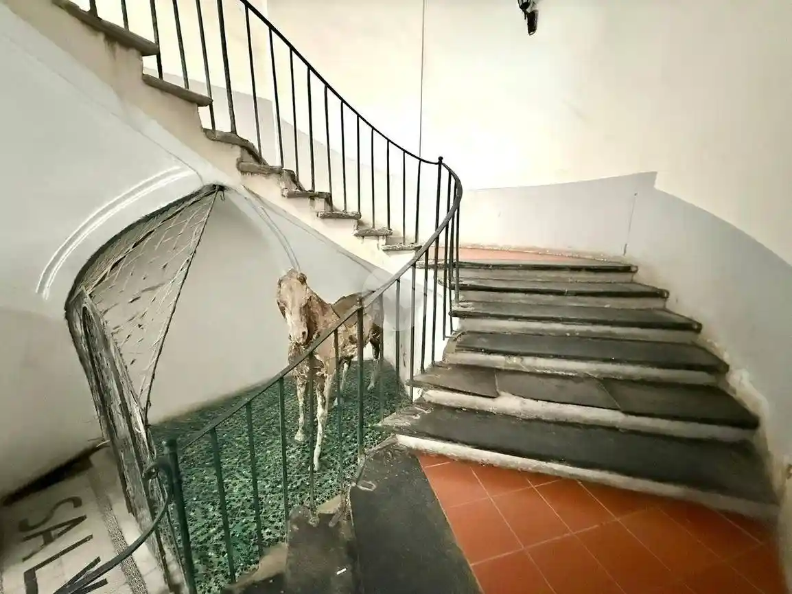 Bilocale via Giovanni Paladino 6, Centro Storico, Napoli - foto 4