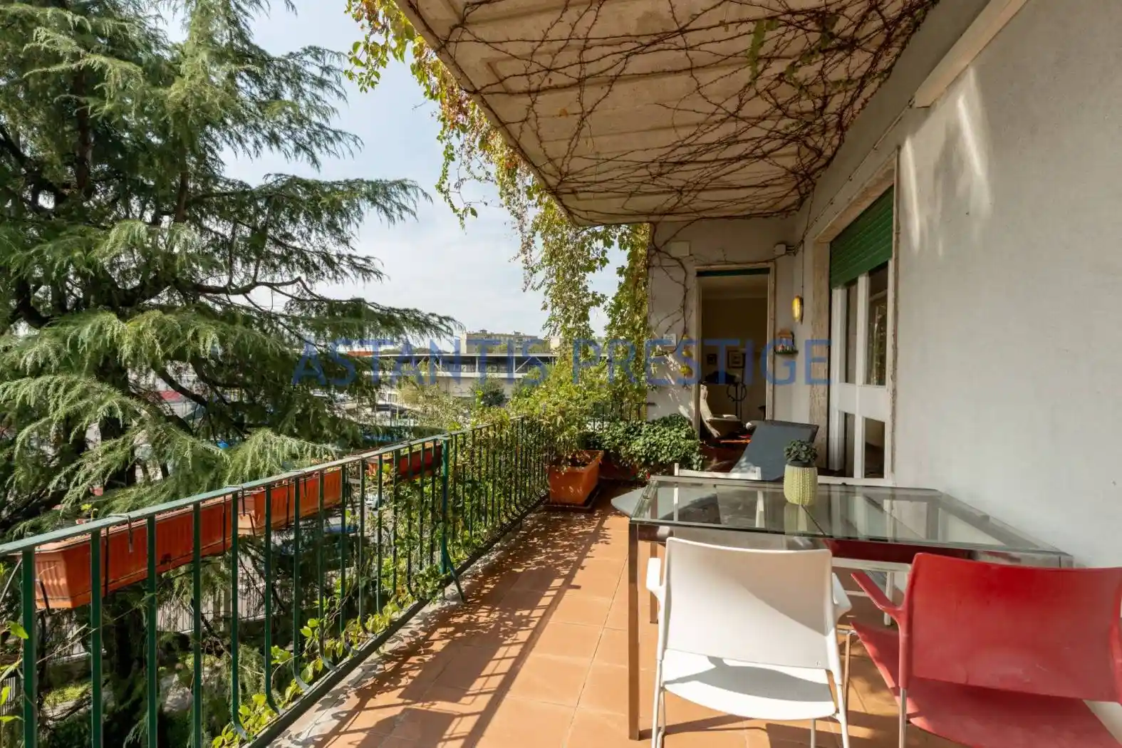 Quadrilocale viale Duilio, Sempione, Milano - foto 2