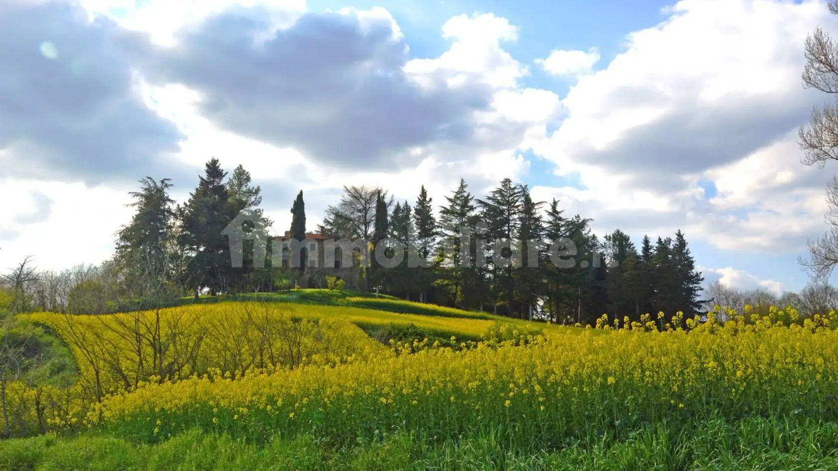 Casale via Federigo Nomi, Anghiari - foto 5