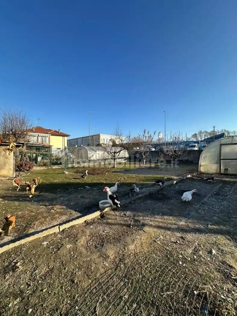 Villa bifamiliare via Culla 5, Mercato - Santa Maria, Moncalieri - foto 5