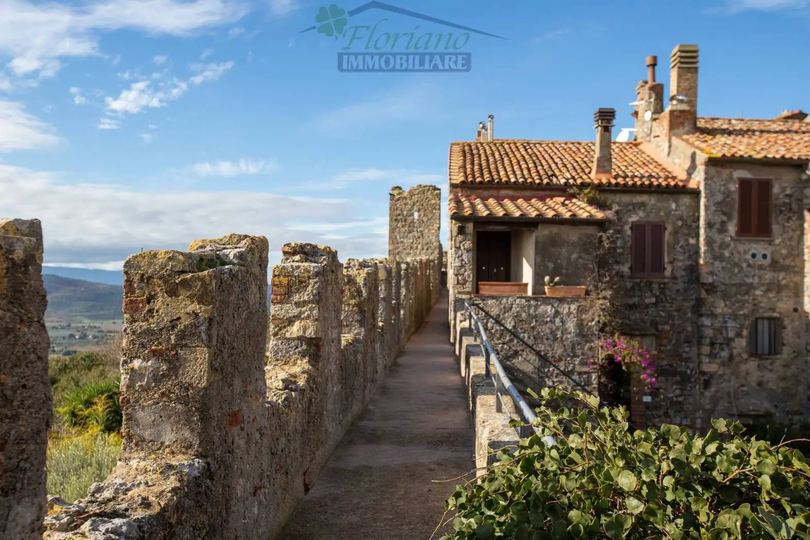 Appartamento in affitto a Capalbio