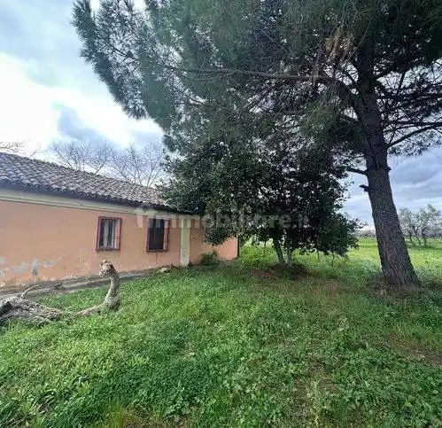 Rustico Contrada Selvotti, Casalbordino - foto 2