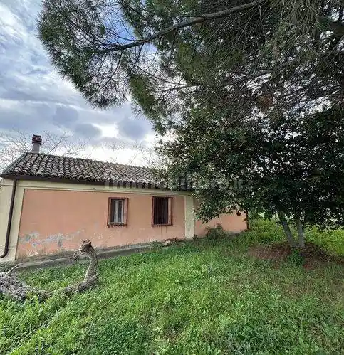 Rustico Contrada Selvotti, Casalbordino - foto 3